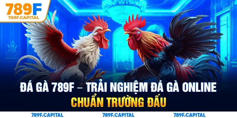 Trải nghiệm khác biệt chuẩn trường đấu cùng Đá gà 789F