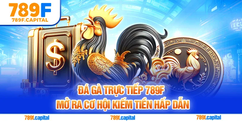Đá gà trực tiếp 789F mở ra cơ hội kiếm tiền hấp dẫn