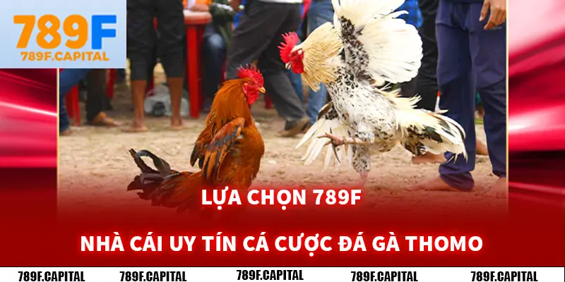 789F là nhà cái uy tín nhất cho người đam mê đá gà thomo